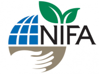 logo_nifa